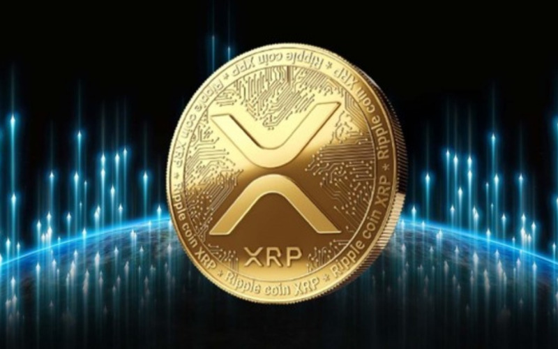 XRP Ledger