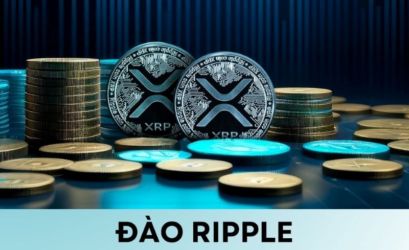 Đào Ripple (XRP)