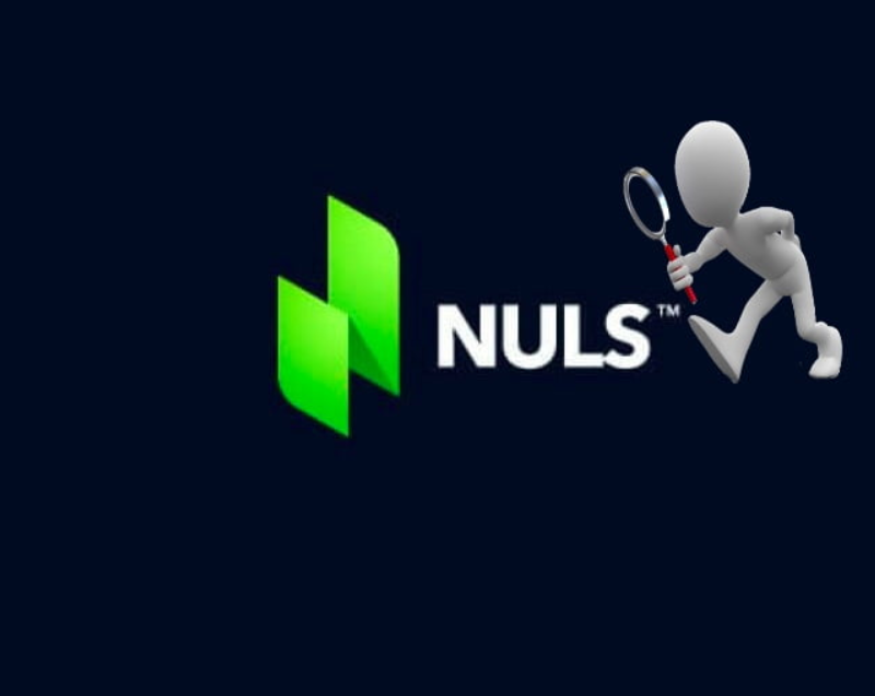 Nuls Coin