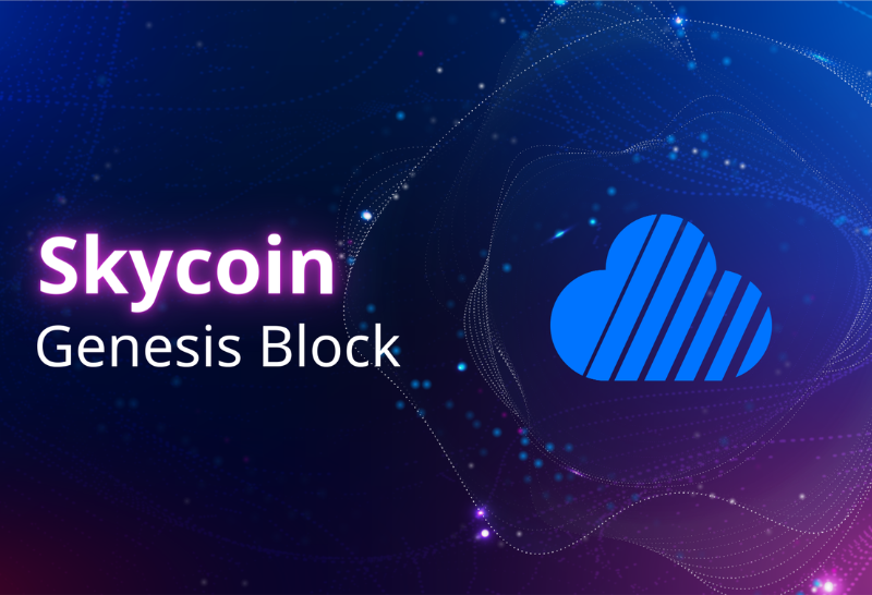 Skycoin là gì