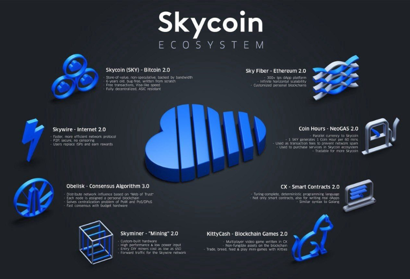 Skycoin là gì