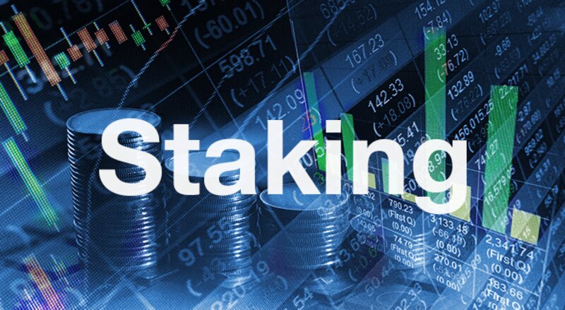 Hướng dẫn cách Staking Coin