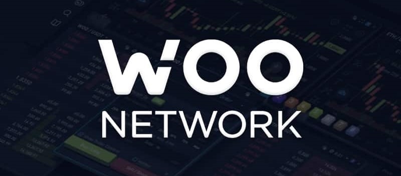 Tầm nhìn và tiềm năng của Woo Network