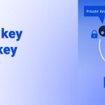 Khái niệm, Sự khác biệt giữa public key và private key