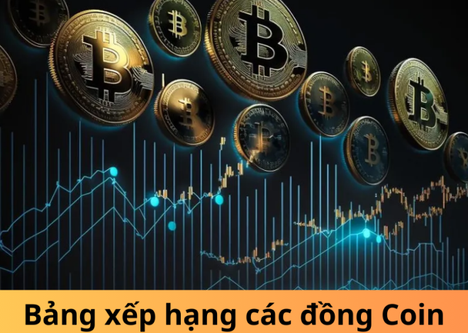 Bảng xếp hạng các đồng Coin: Cẩm nang cho người mới bắt đầu