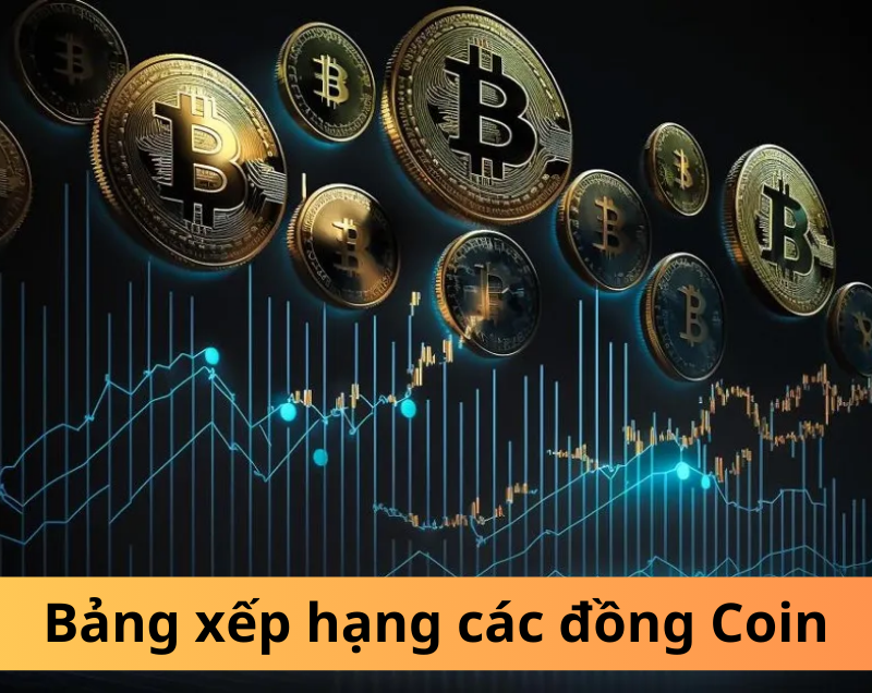 Bảng xếp hạng các đồng Coin: Cẩm nang cho người mới bắt đầu