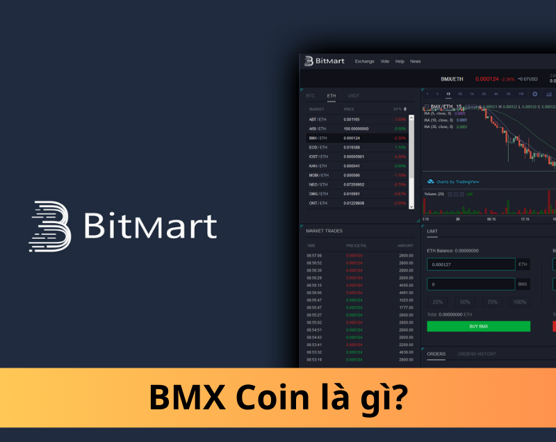 BMX Coin là gì? Lời giải đáp cho nhà đầu tư mới