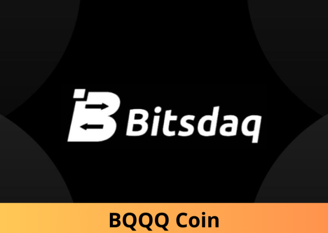 BQQQ Coin là gì? Khám phá tiềm năng đầu tư