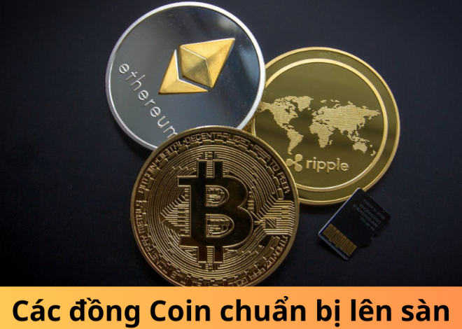 Định giá các đồng Coin chuẩn bị lên sàn: Bước đầu cho lợi nhuận