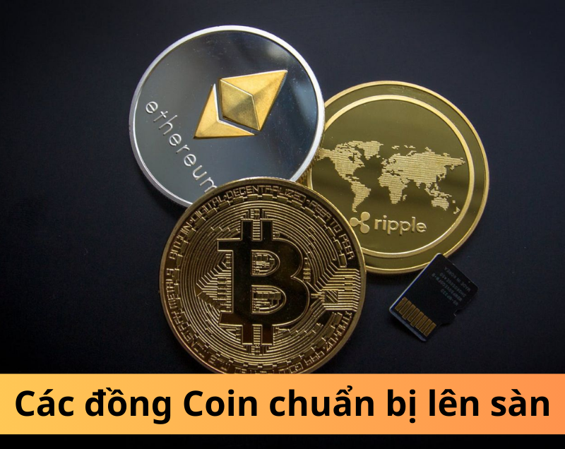 Định giá các đồng Coin chuẩn bị lên sàn: Bước đầu cho lợi nhuận