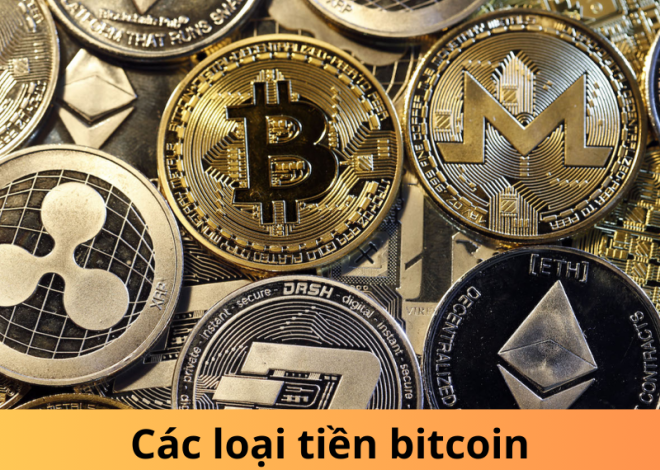 Đầu tư các loại tiền Bitcoin: Hướng dẫn cho người mới bắt đầu