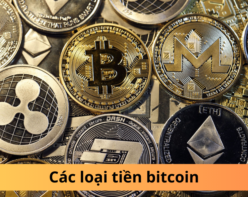 Đầu tư các loại tiền Bitcoin: Hướng dẫn cho người mới bắt đầu