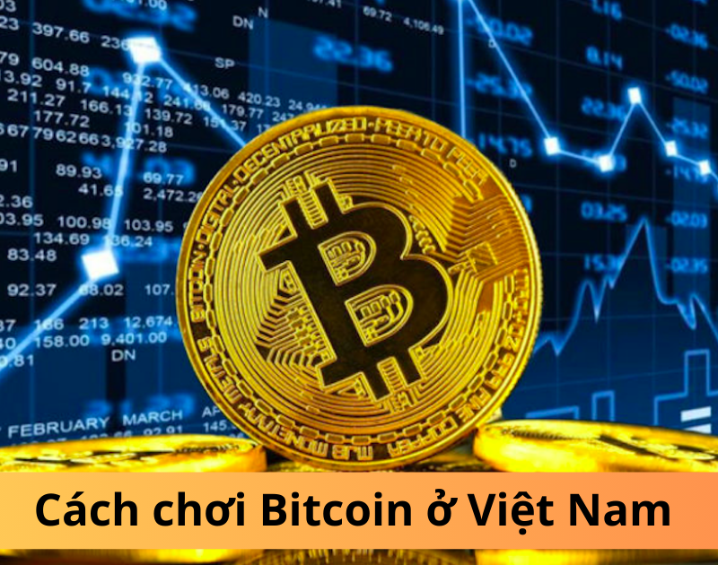 Cách chơi Bitcoin ở Việt Nam: Bí mật kiếm lợi nhuận