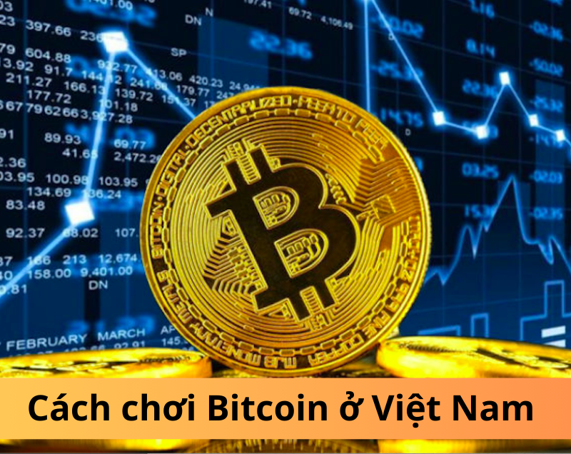 Cách chơi Bitcoin ở Việt Nam: Bí mật kiếm lợi nhuận