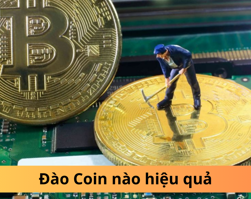 Bật mí: Kinh nghiệm đào Coin nào hiệu quả cho người mới