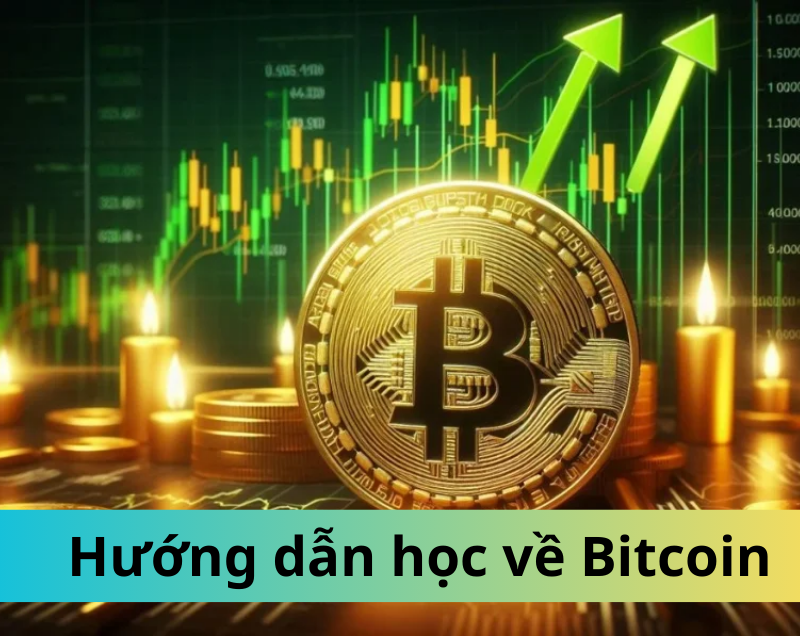 Khám phá Bitcoin: Hướng dẫn học về Bitcoin cho người mới bắt đầu