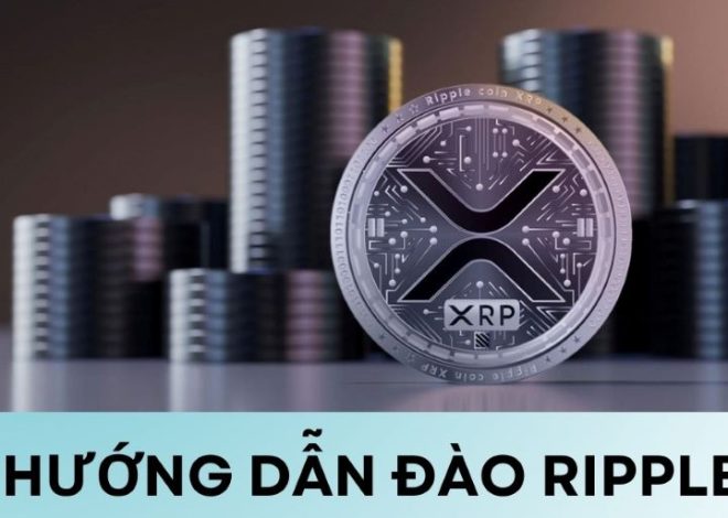 Hướng dẫn đào Ripple: Khám phá các cách giúp gia tăng XRP