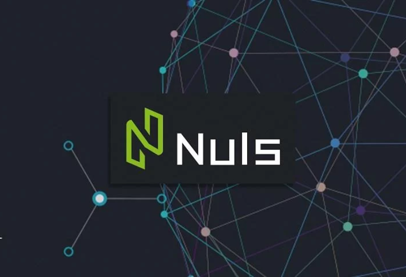 Nuls Coin : Khám phá tiềm năng Blockchain nền tảng