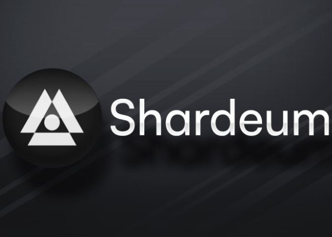 Shardeum Blockchain là gì? Tất tần tật về SHM Token