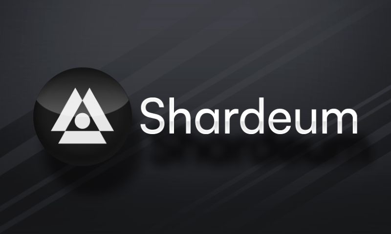 Shardeum Blockchain là gì? Tất tần tật về SHM Token 1 Shardeum Blockchain là gì? Tất tần tật về SHM Token