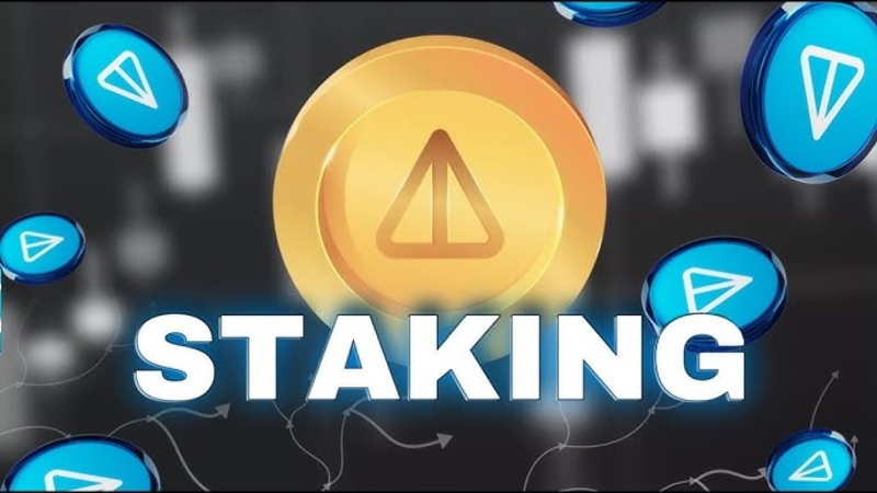 Staking Coin là gì? Hướng dẫn cách tham gia staking