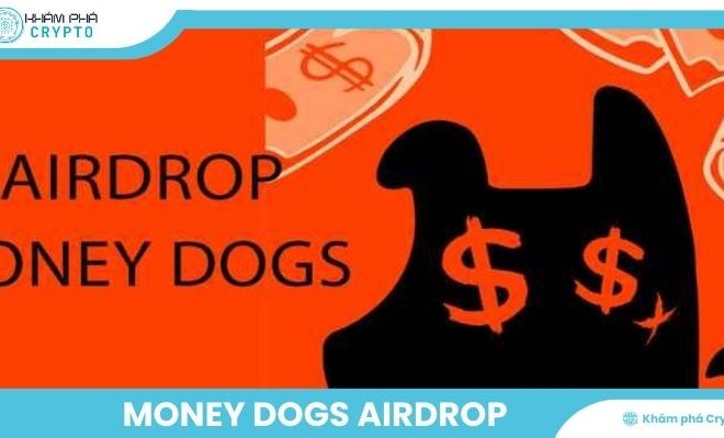 Money Dogs Airdrop – Điểm nhấn thị trường airdrop tiềm năng