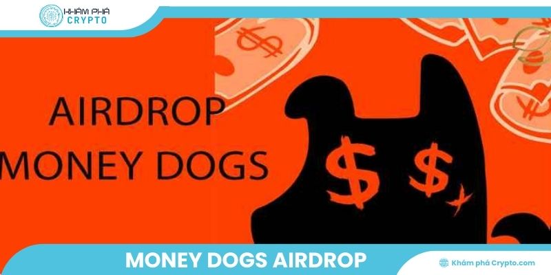 Money Dogs Airdrop – Điểm nhấn thị trường airdrop tiềm năng