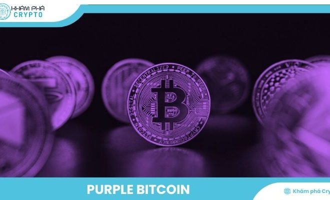 Purple Bitcoin: Đồng tiền điện tử đột phá đáng chú ý