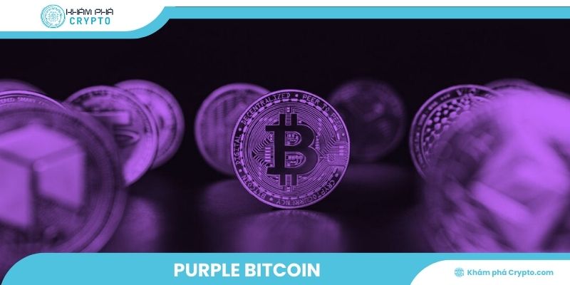 Purple Bitcoin: Đồng tiền điện tử đột phá đáng chú ý