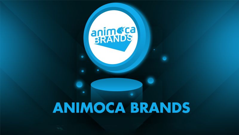 aanimoca-brands-la-gi