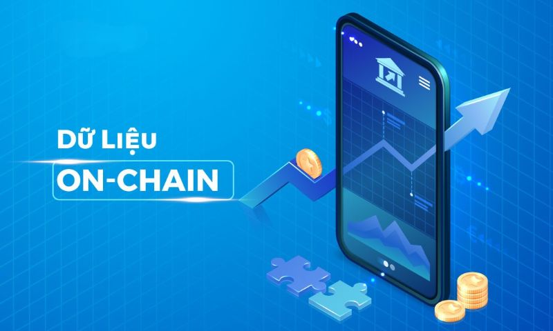 Dữ Liệu Onchain Là Gì? Tìm Hiểu Vai Trò Trong Thế Giới Blockchain 1 Dữ Liệu Onchain Là Gì? Tìm Hiểu Vai Trò Trong Thế Giới Blockchain