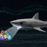 Đồng coin nào được shark đầu tư nhiều nhất hiện nay