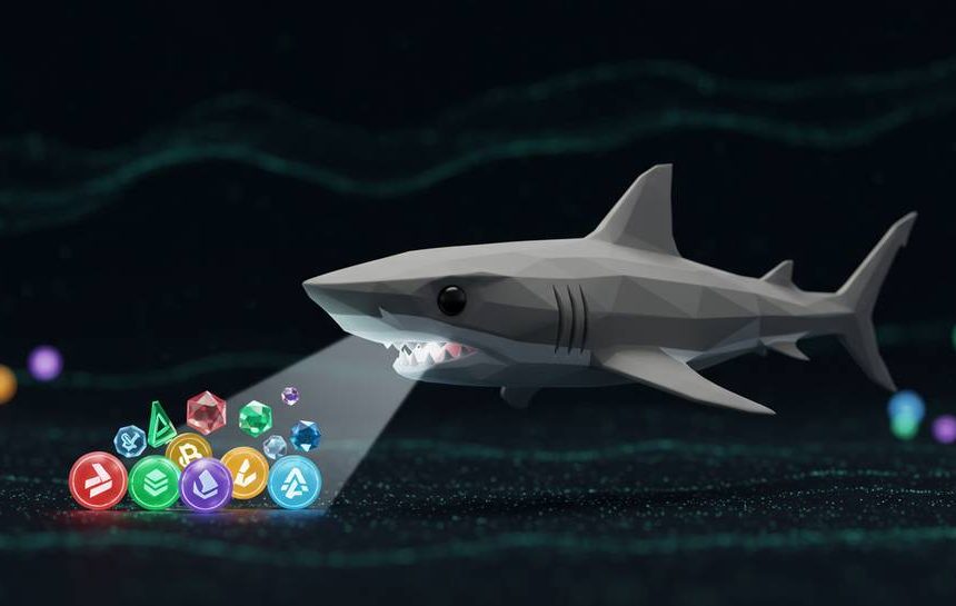 Đồng coin nào được shark đầu tư nhiều nhất hiện nay